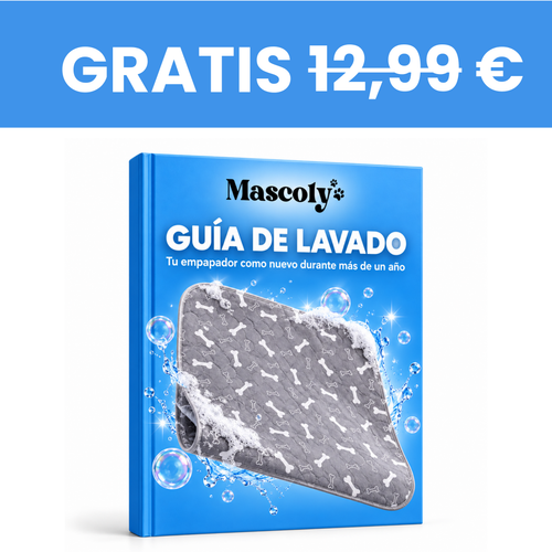 Guía: Cuida tu empapador