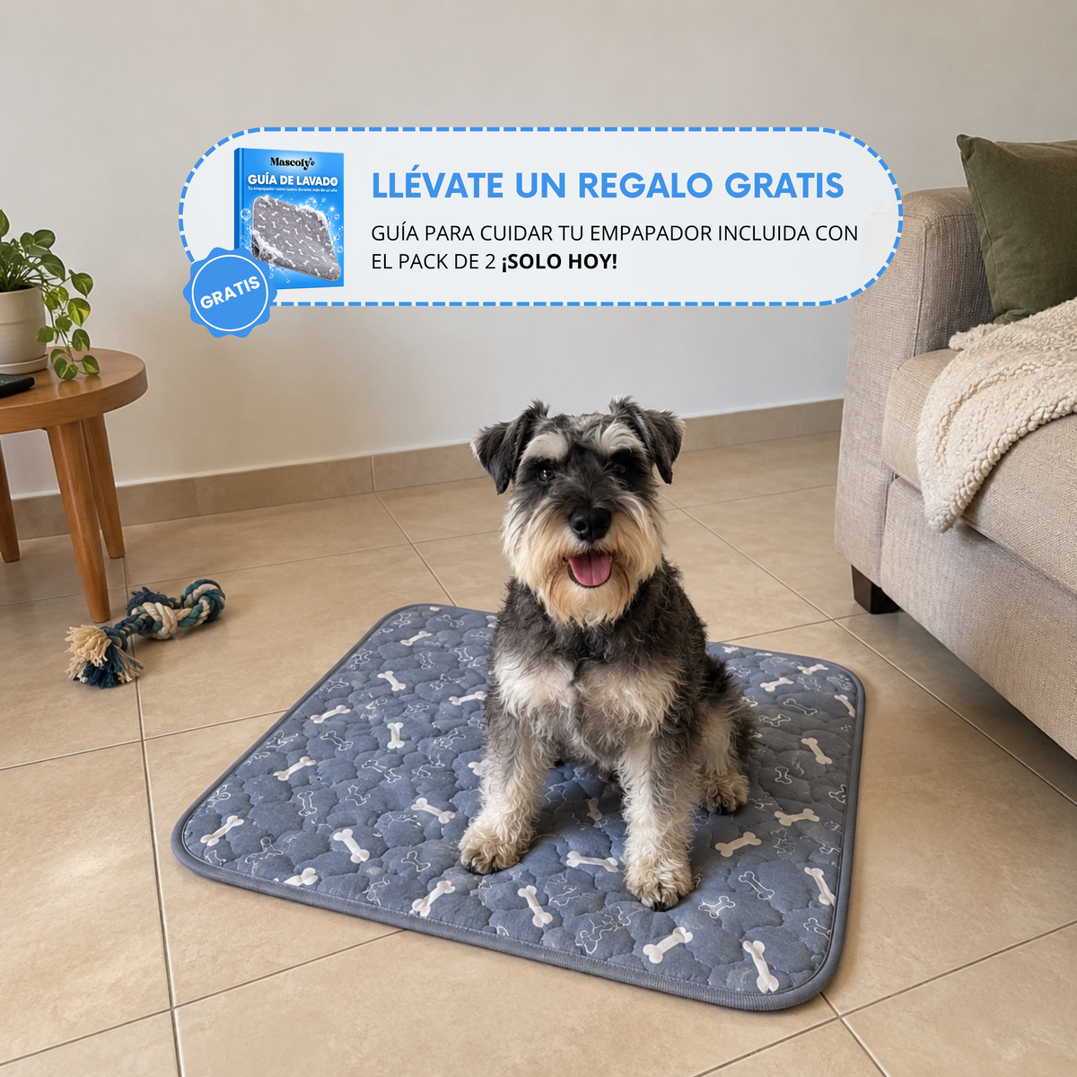 Mascoly™ – Empapador lavable con feromonas para perros