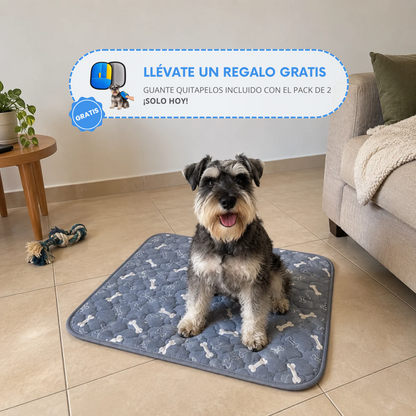 Mascoly – Empapador lavable con feromonas para perros