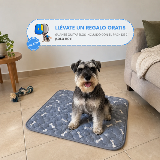 Mascoly – Empapador lavable con feromonas para perros