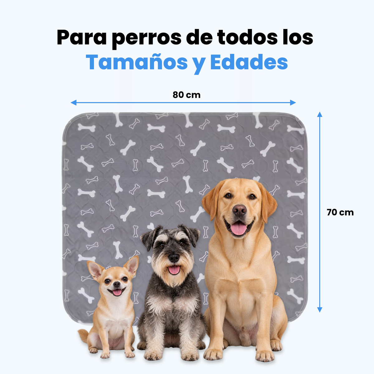 Mascoly – Empapador lavable con feromonas para perros