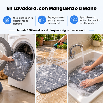 Mascoly – Empapador lavable con feromonas para perros